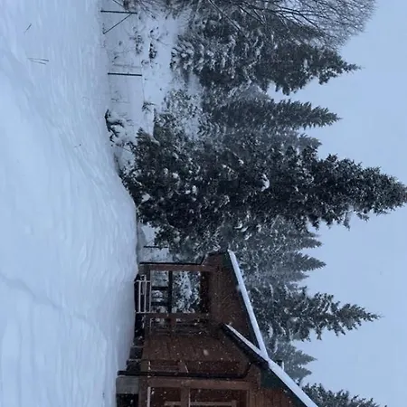 Lodge хутір бойка *